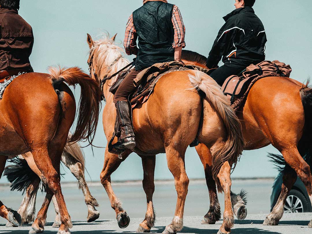 A man teaching two others horse riding